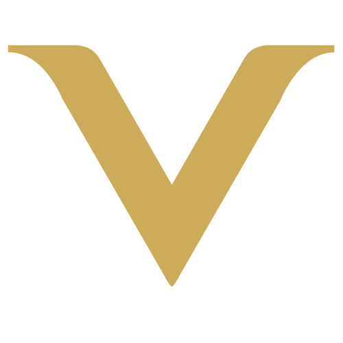 Vinicio Morgoni Logo